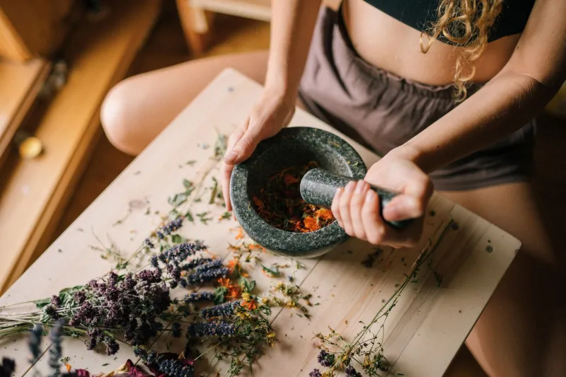 The Healing Power of Stillness: How Ancient Medicine Understood Time as Cure